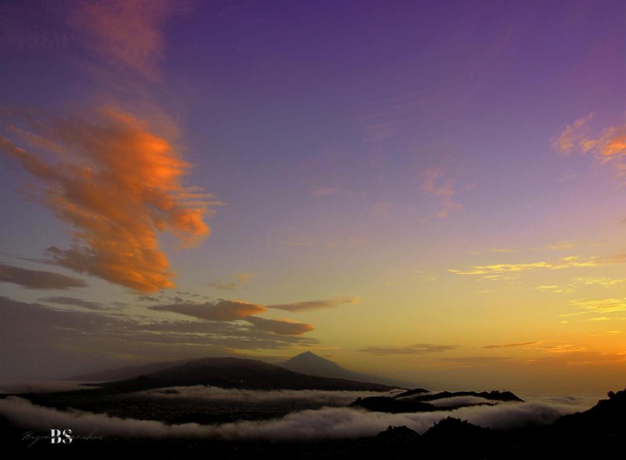 Suite Wagner Santa Cruz de Tenerife Dış mekan fotoğraf